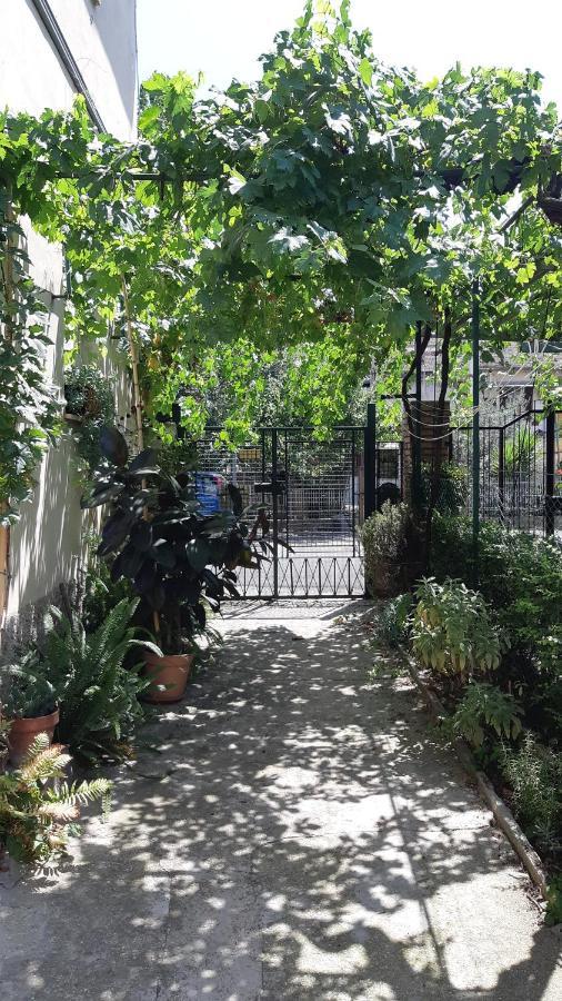 Casa Sofia - Appartamento Con Parcheggio Riservato 特尔尼 外观 照片